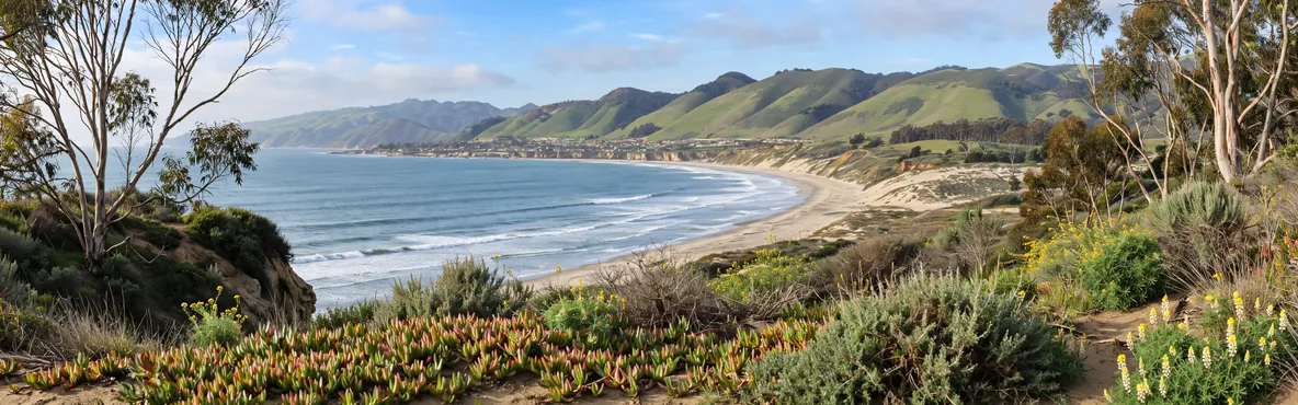 Family-Friendly Fun: Exploring Grover Beach with Kids