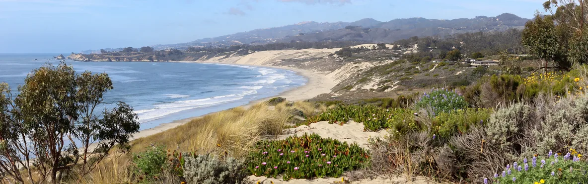 Hidden Gems: Uncovering the Best Local Spots in Grover Beach